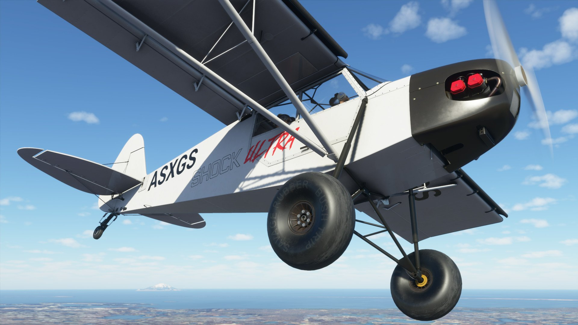 Скриншот из игры Microsoft Flight Simulator под номером 13