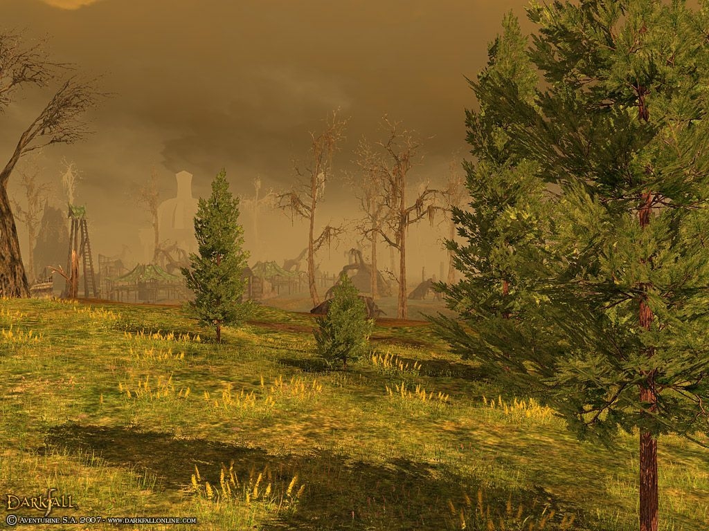 Скриншот из игры Darkfall Online под номером 1