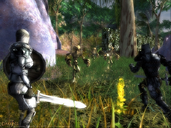 Скриншот из игры Darkfall Online под номером 19