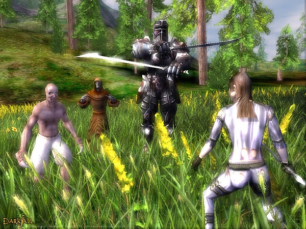 Скриншот из игры Darkfall Online под номером 22