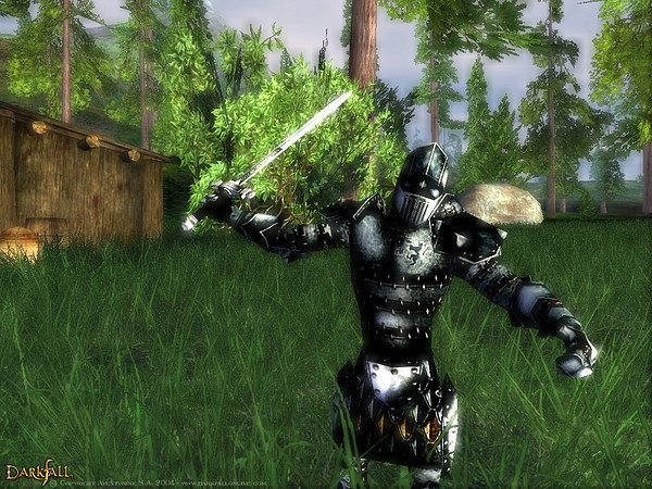 Скриншот из игры Darkfall Online под номером 24