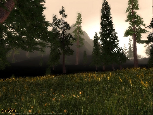 Скриншот из игры Darkfall Online под номером 25