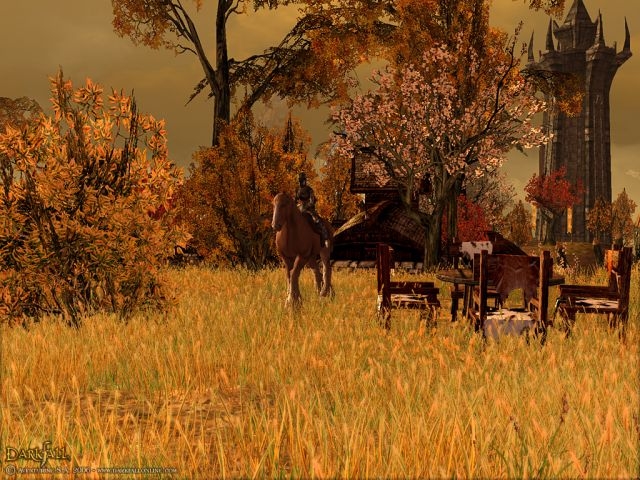 Скриншот из игры Darkfall Online под номером 27