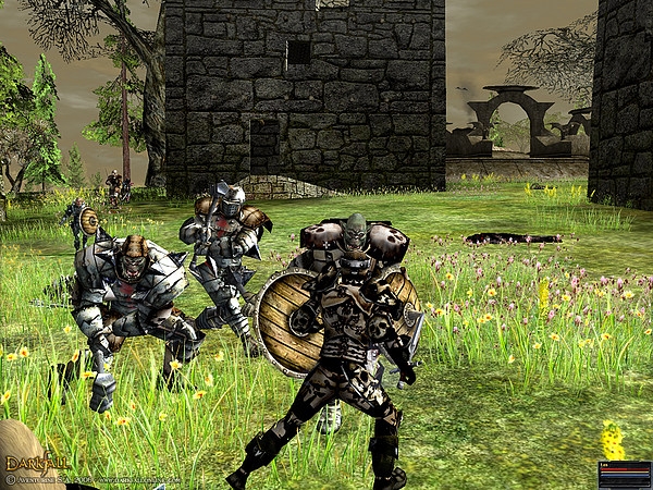 Скриншот из игры Darkfall Online под номером 5
