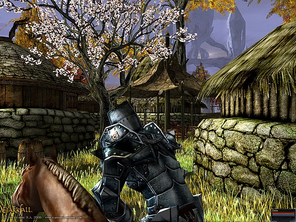 Скриншот из игры Darkfall Online под номером 9