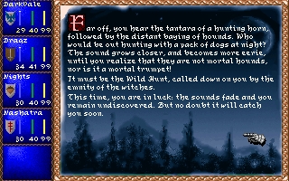 Скриншот из игры Darklands под номером 16