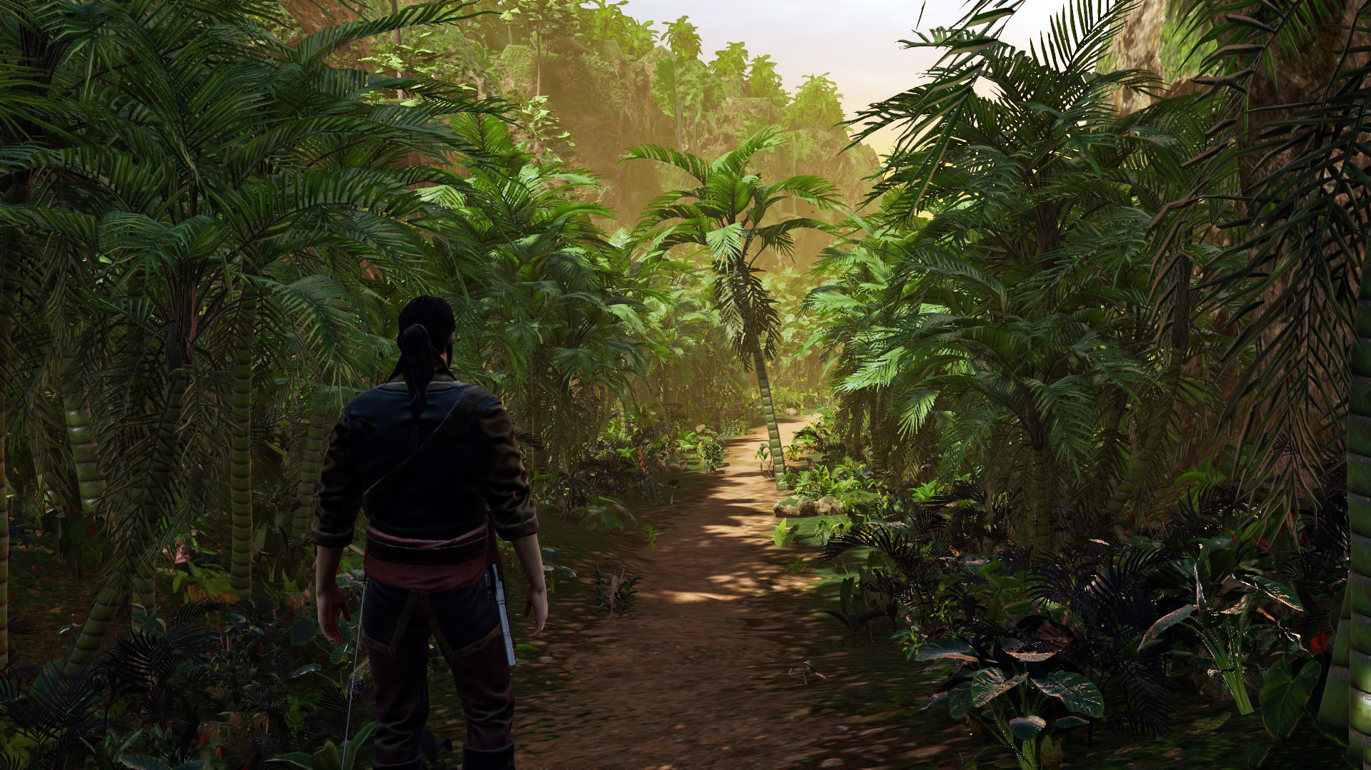 Скриншот из игры Corsairs Legacy под номером 13