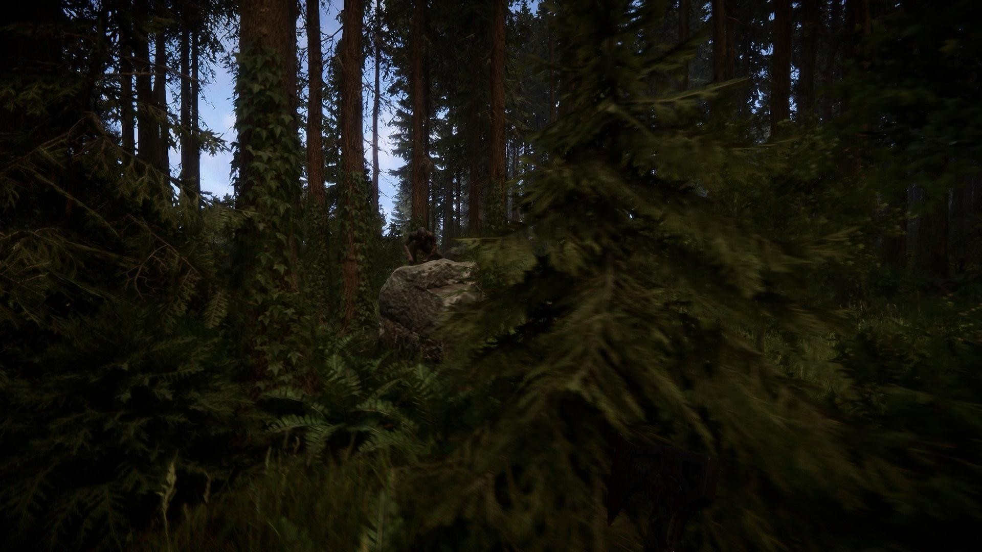 Скриншот из игры Sons of the Forest под номером 6
