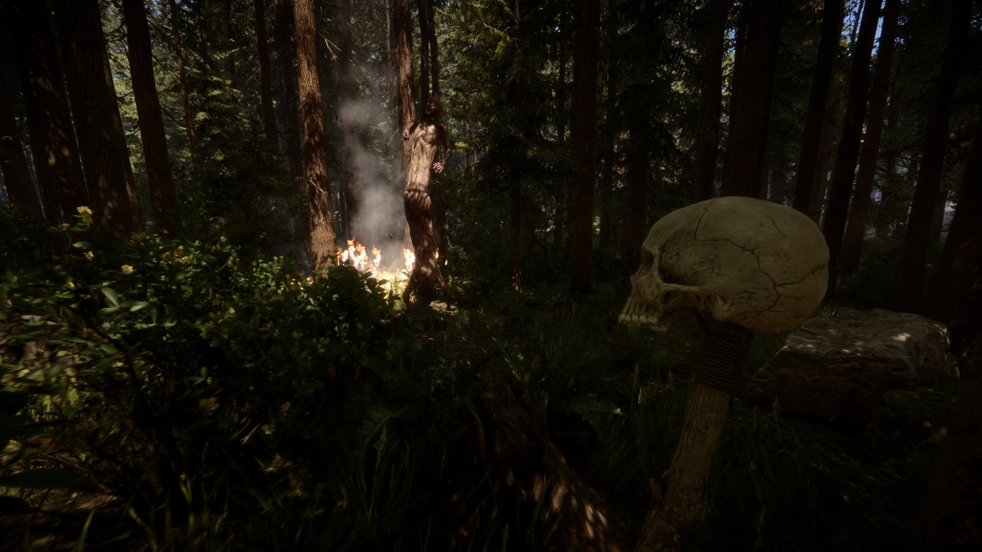 Скриншот из игры Sons of the Forest под номером 8