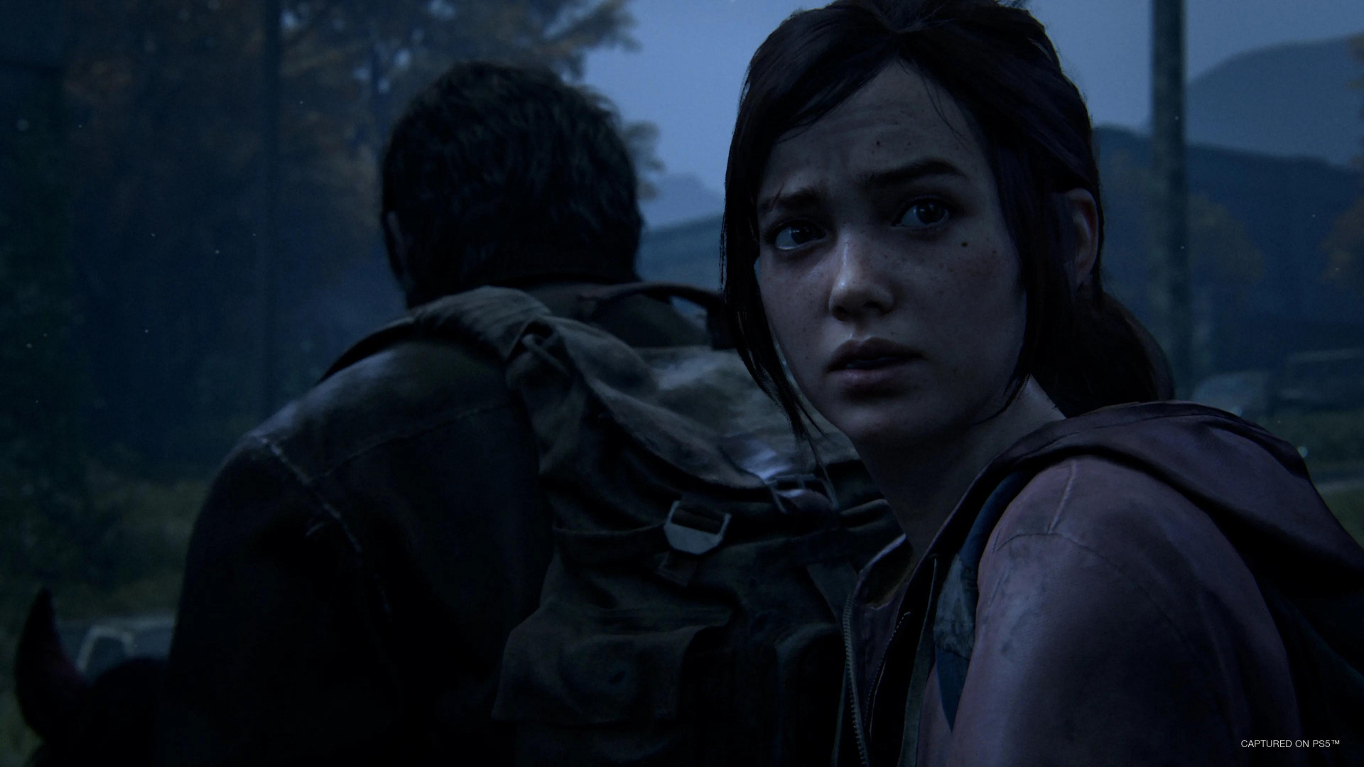 Скриншот из игры The Last of Us: Part I под номером 16