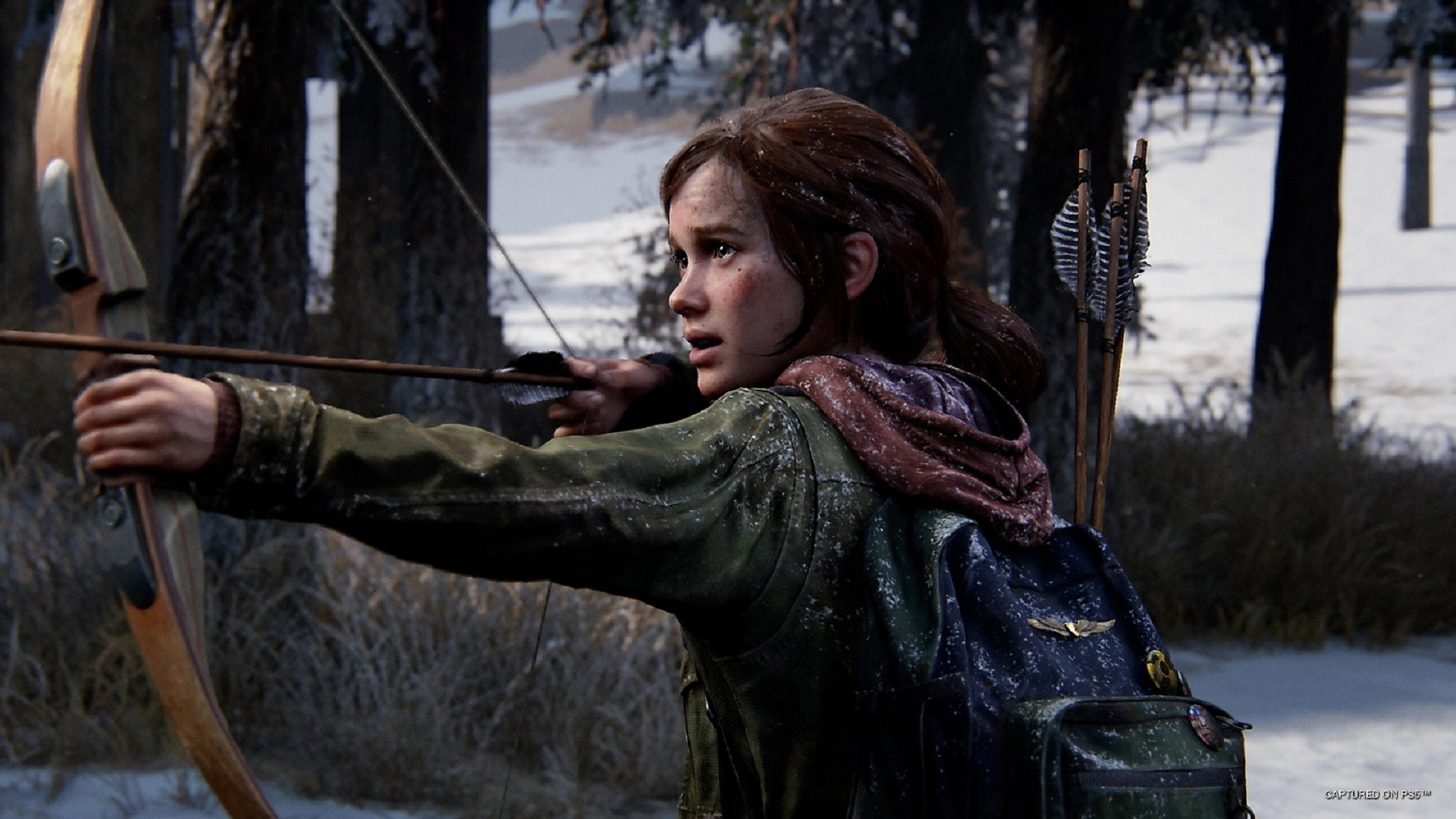 Скриншот из игры The Last of Us: Part I под номером 17
