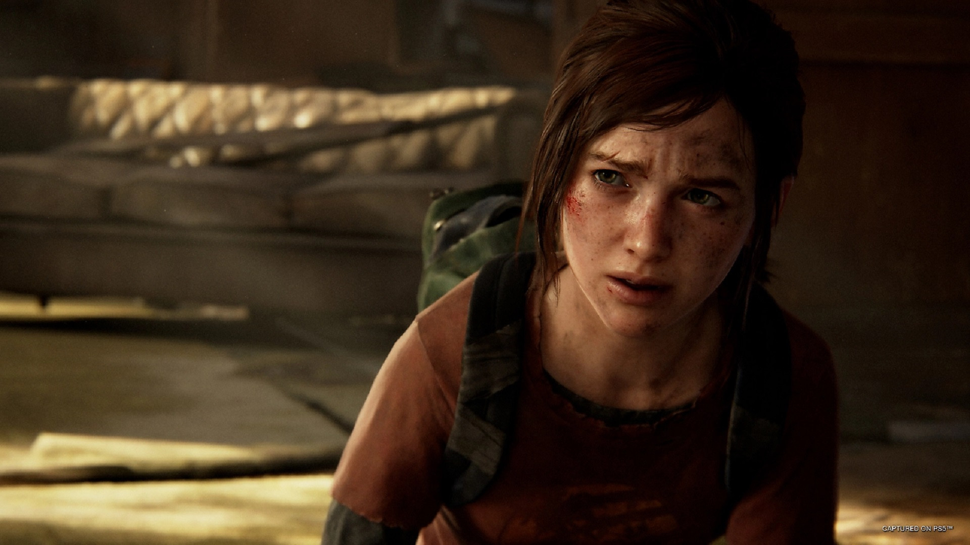 Скриншот из игры The Last of Us: Part I под номером 19