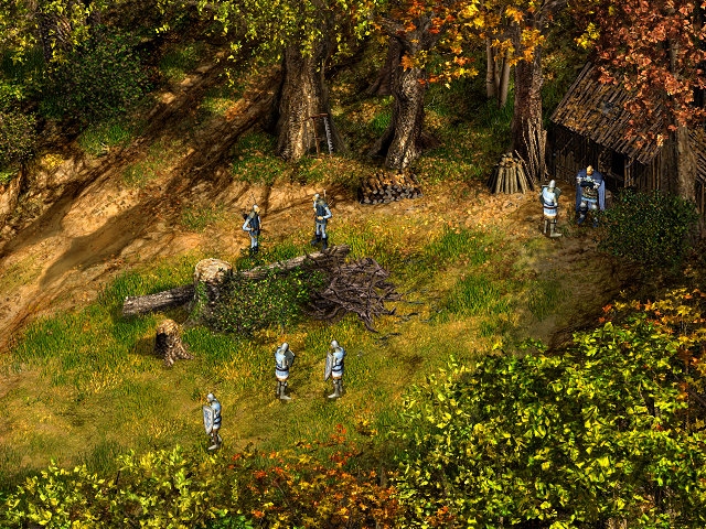 Скриншот из игры Robin Hood: The Legend of Sherwood под номером 13