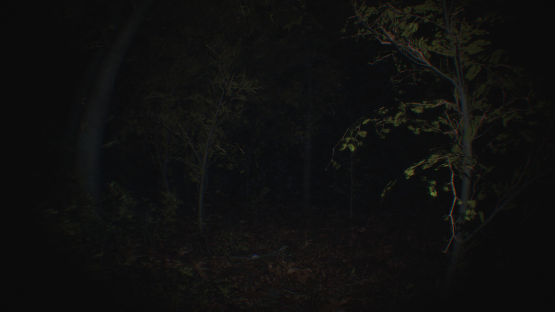 Скриншот из игры Paranormal Tales под номером 1
