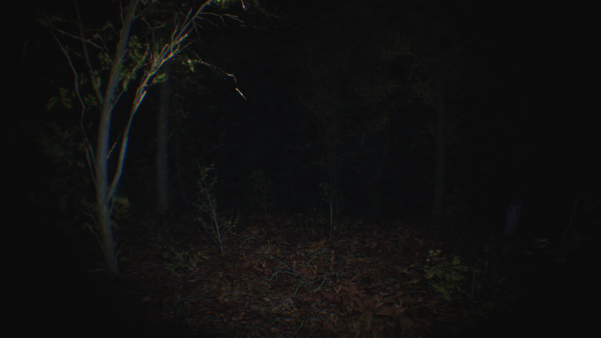 Скриншот из игры Paranormal Tales под номером 5