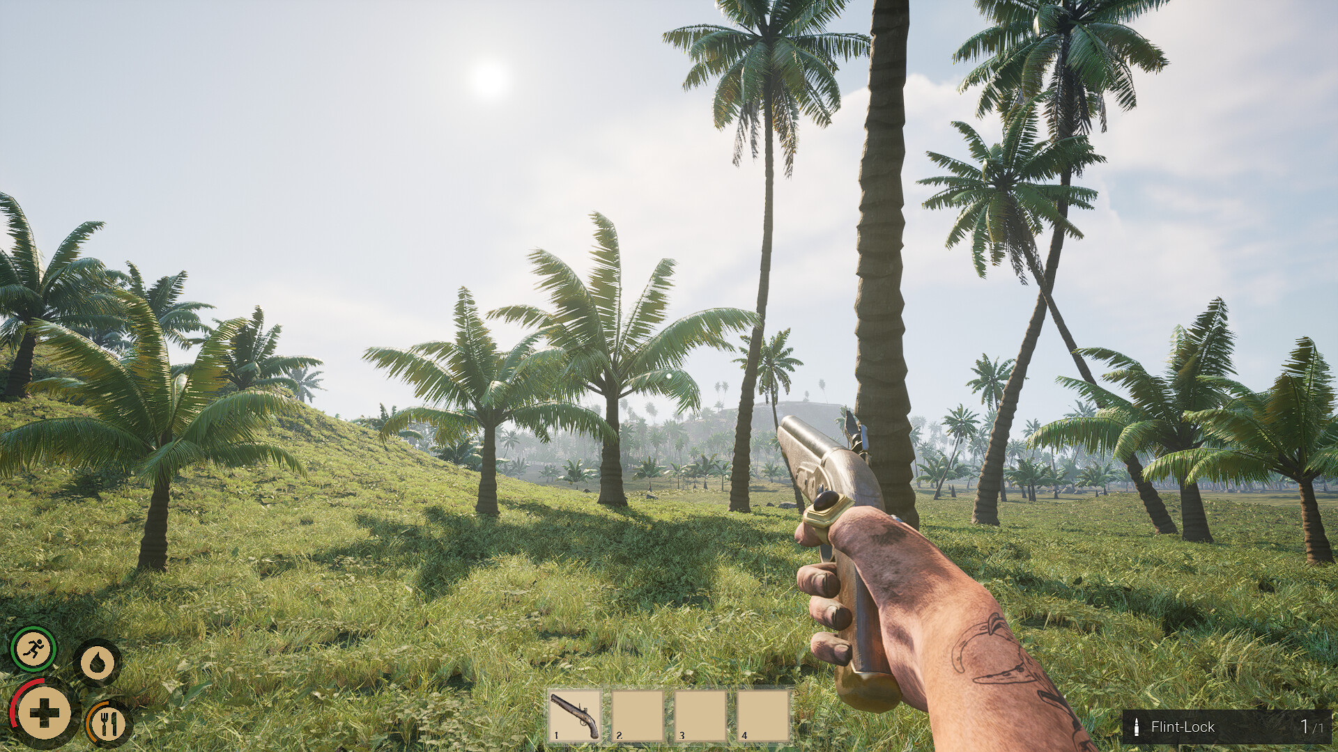 Скриншот из игры Pirates Journey под номером 10