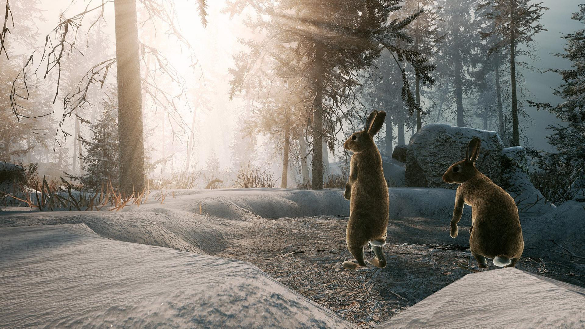 Скриншот из игры Winter Survival под номером 2