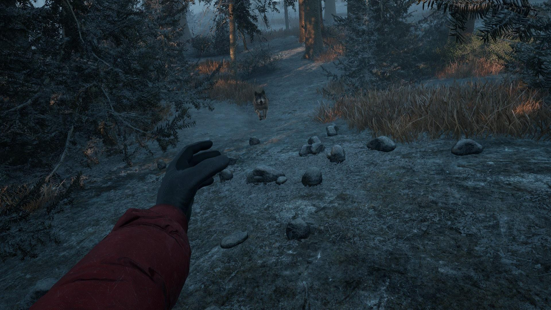Скриншот из игры Winter Survival под номером 4