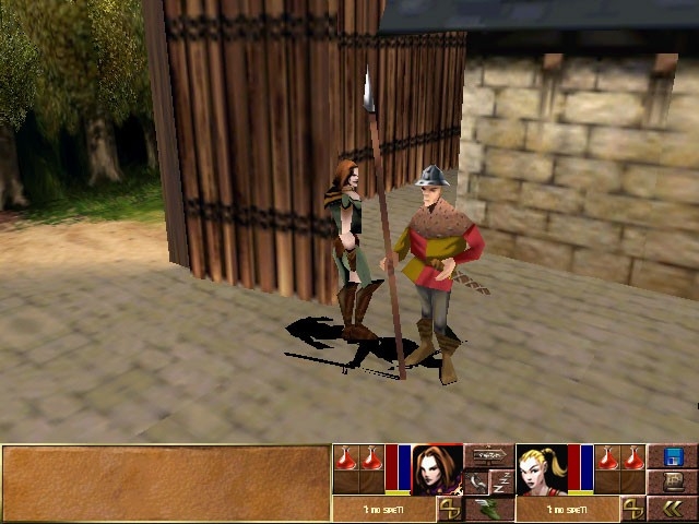 Скриншот из игры Darkstone под номером 12