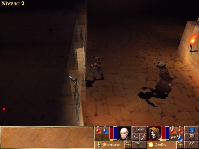 Скриншот из игры Darkstone под номером 5