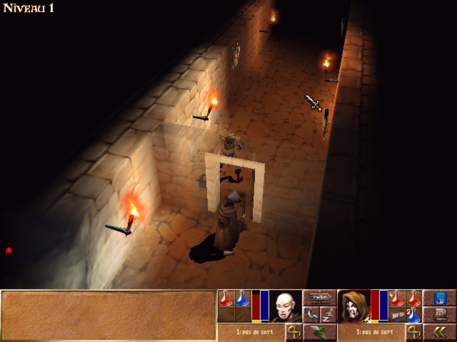 Скриншот из игры Darkstone под номером 6