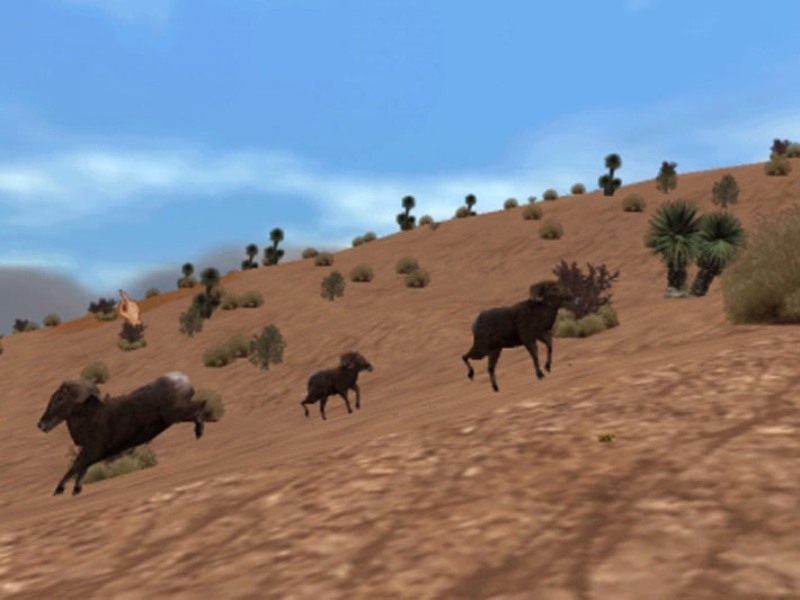 Скриншот из игры Rocky Mountain Trophy Hunter 3: Trophies of the West под номером 4
