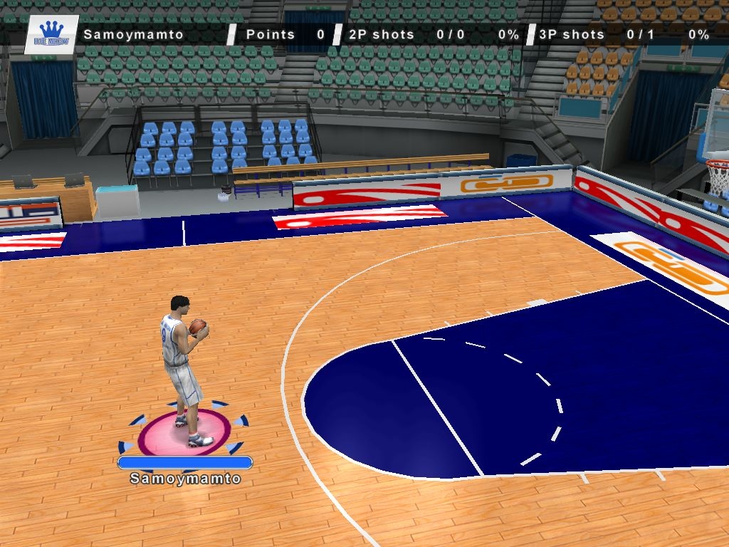 Скриншот из игры International Basket 2009 Lite под номером 1