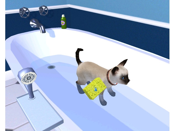 Скриншот из игры Petz Catz 2 под номером 16