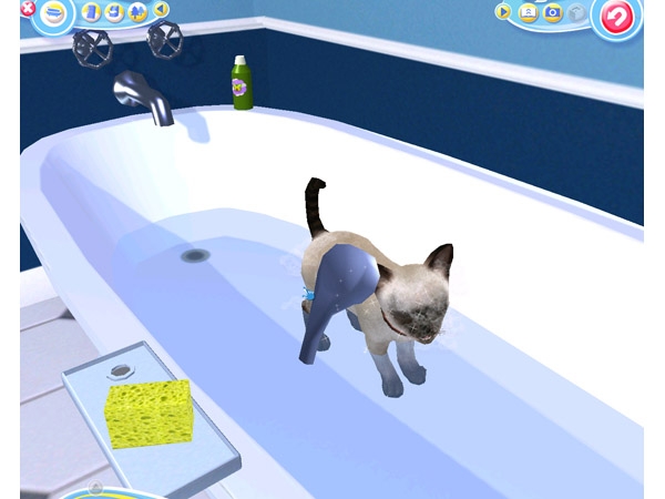 Скриншот из игры Petz Catz 2 под номером 18