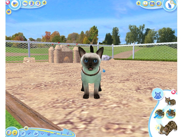 Скриншот из игры Petz Catz 2 под номером 26