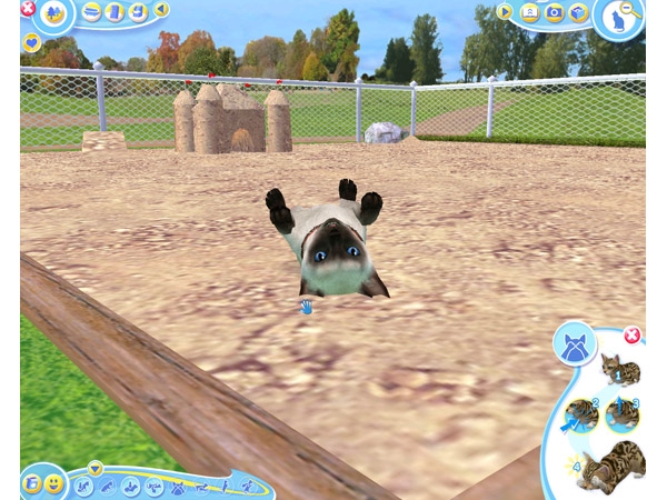 Скриншот из игры Petz Catz 2 под номером 27