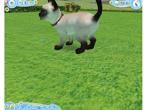 Скриншот из игры Petz Catz 2 под номером 28