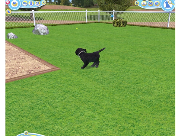 Скриншот из игры Petz Dogz 2 под номером 14
