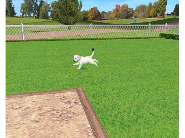Скриншот из игры Petz Dogz 2 под номером 23