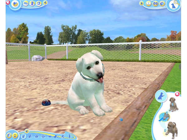 Скриншот из игры Petz Dogz 2 под номером 26