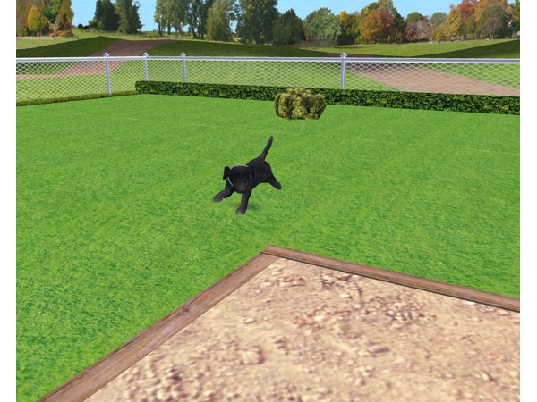 Скриншот из игры Petz Dogz 2 под номером 5