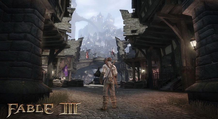 Скриншот из игры Fable 3 под номером 35
