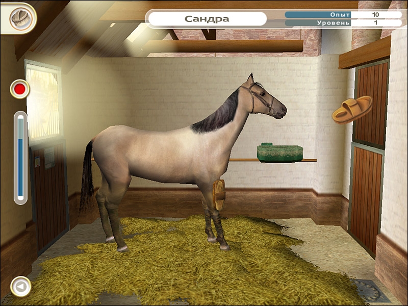 Скриншот из игры Pippa Funnell: The Stud Farm Inheritance под номером 5