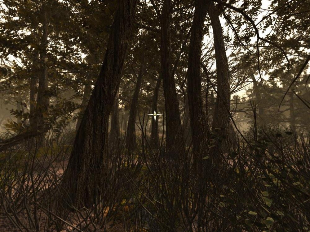 Скриншот из игры Island: The Earthling, The под номером 36