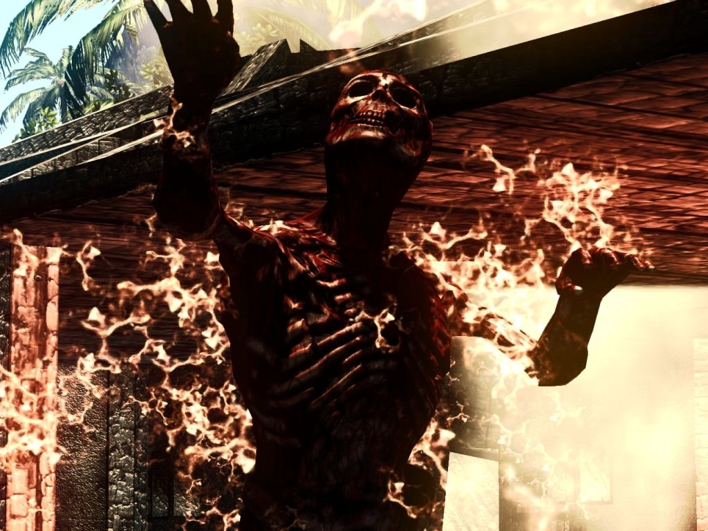 Скриншот из игры Dead Island под номером 11