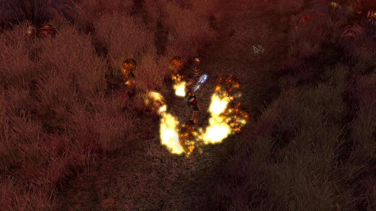 Скриншот из игры Sacred 2: Fallen Angel - Ice & Blood под номером 17