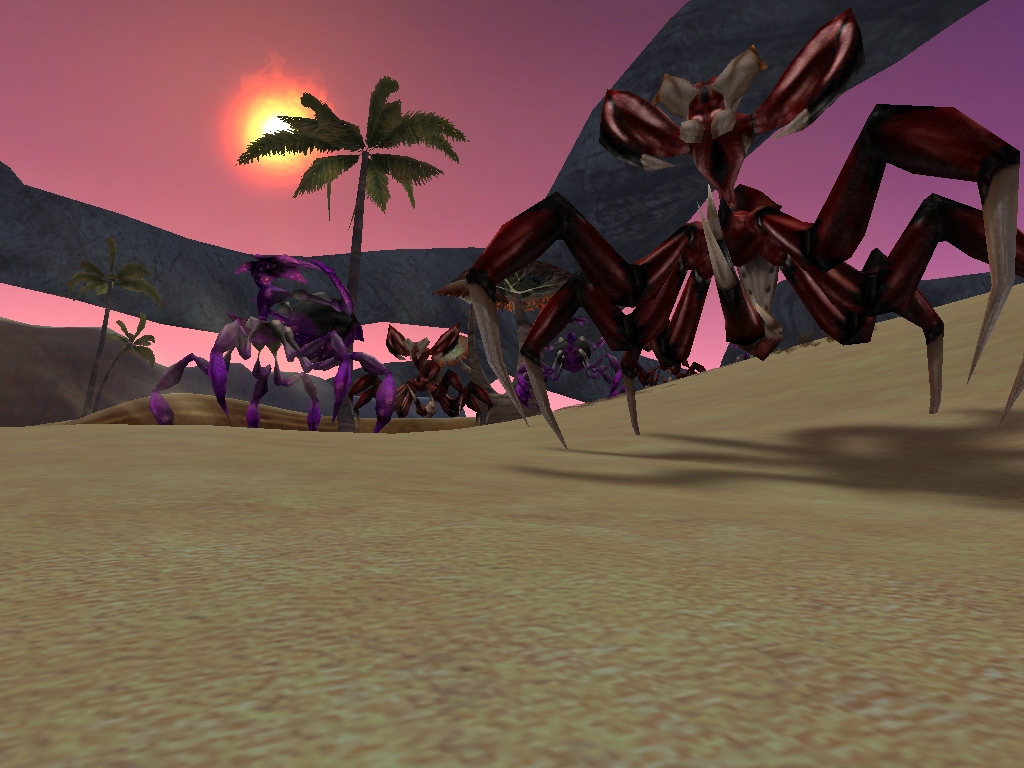 Скриншот из игры Saga of Ryzom, The под номером 17