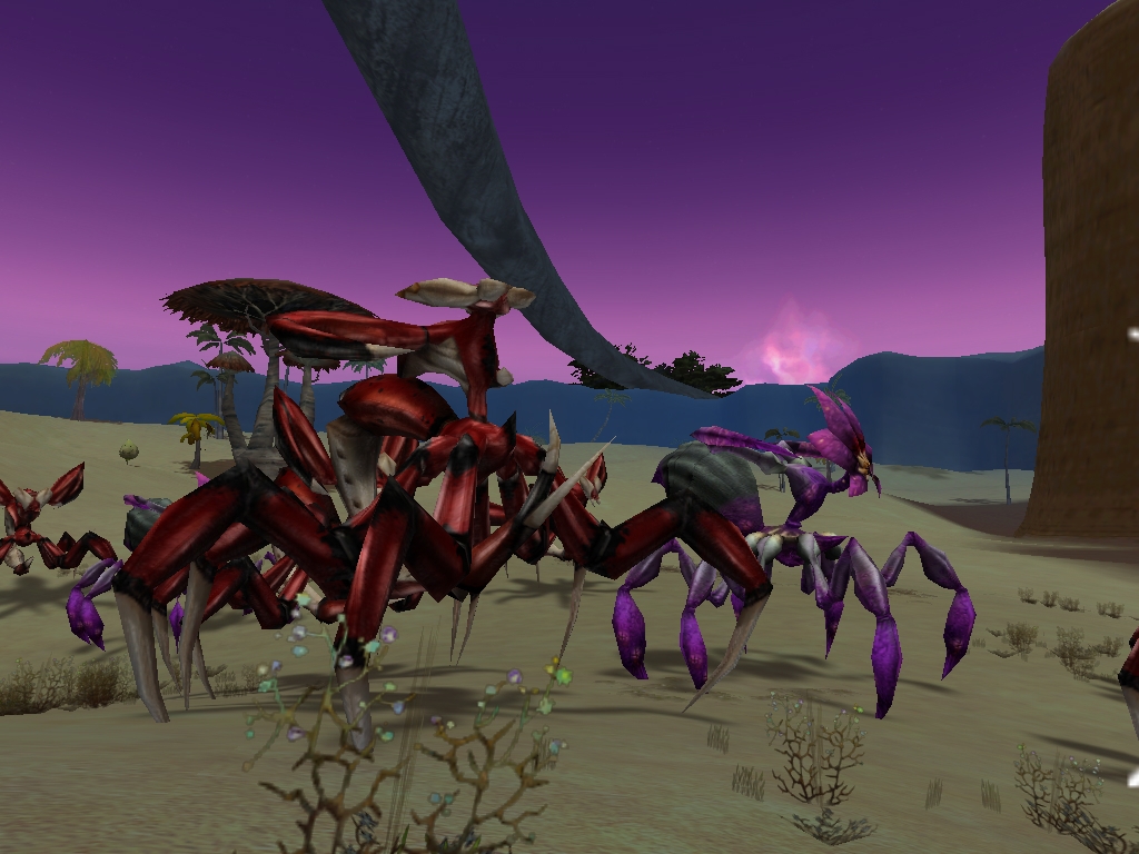 Скриншот из игры Saga of Ryzom, The под номером 19