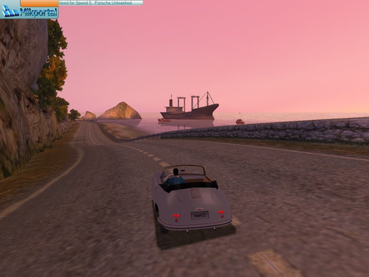 Скриншот из игры Need For Speed: Porsche Unleashed под номером 5
