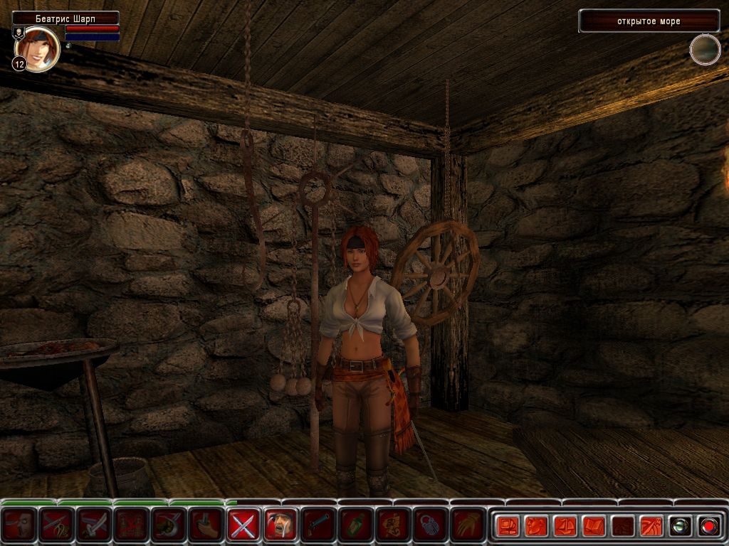 Скриншот из игры Age of Pirates под номером 8