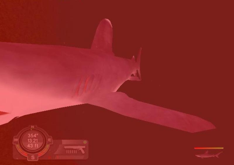 Скриншот из игры Shark! Hunting the Great White под номером 1