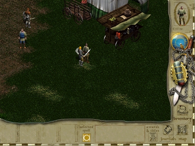 Скриншот из игры Siege of Avalon под номером 22