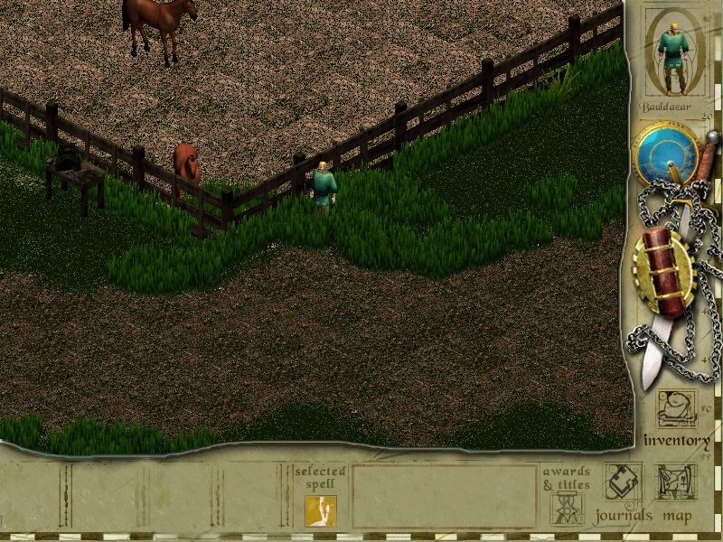 Скриншот из игры Siege of Avalon под номером 26
