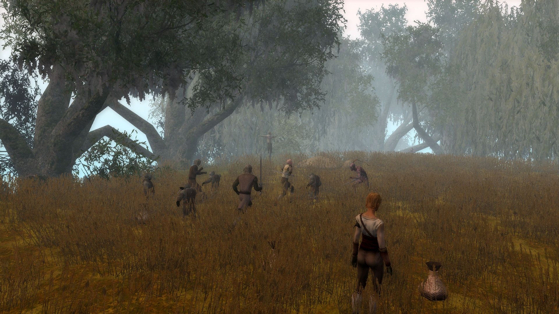 Скриншот из игры Neverwinter Nights 2 под номером 20