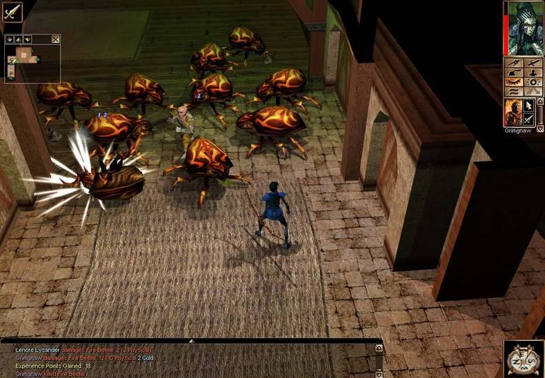 Скриншот из игры Neverwinter Nights (2002) под номером 28